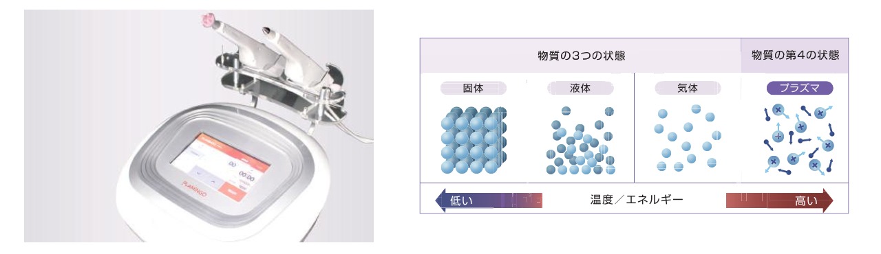 プラミンゴとは