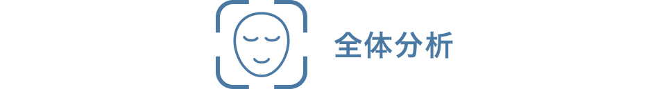 全体分析