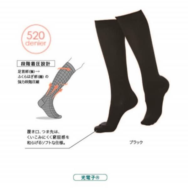 エナジックハイソックス