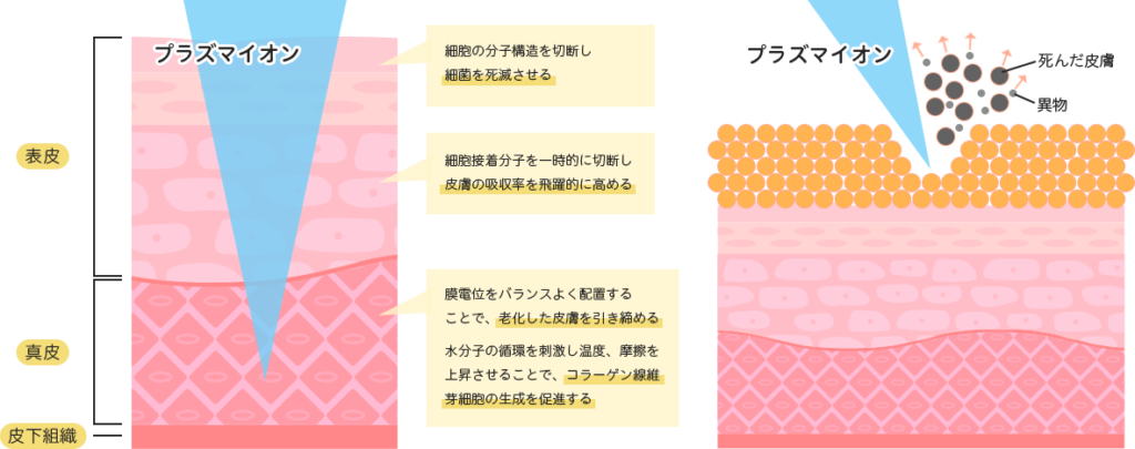 お肌への効果|アートプル|プラズマ複合機