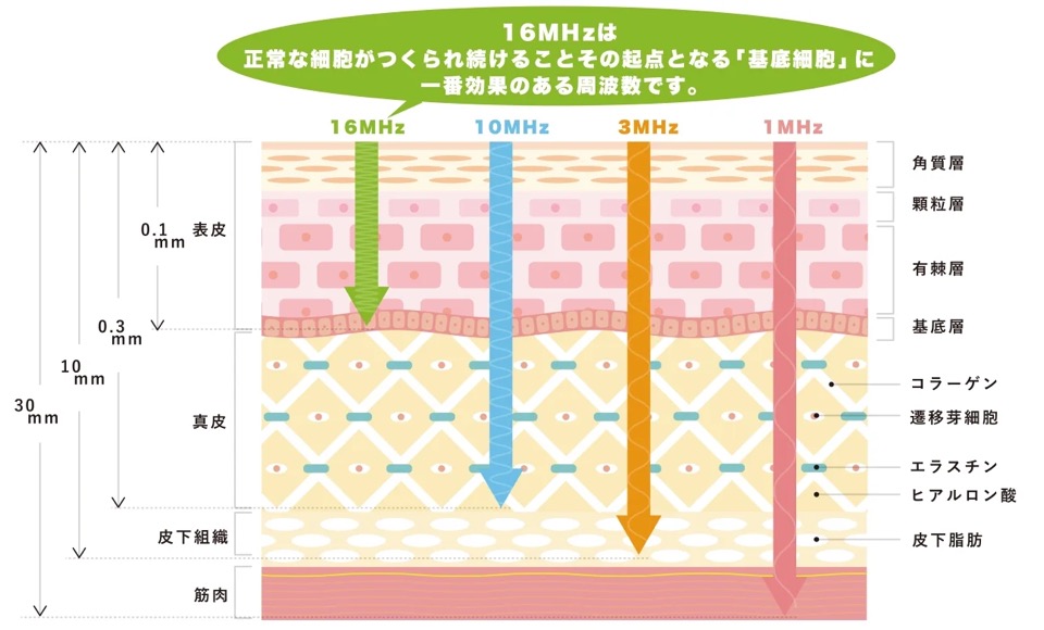 各周波数の深さと特徴