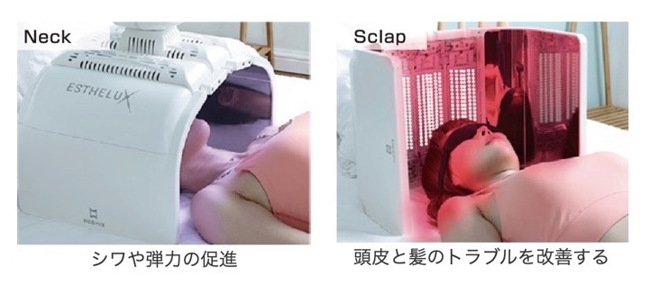 エステラックス