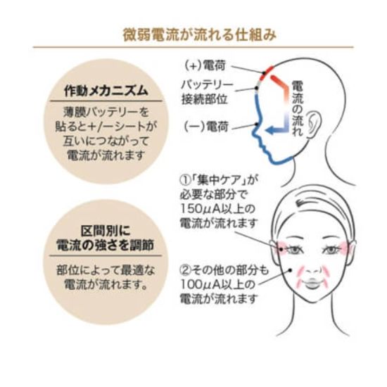 エレクトロニックカレントパック