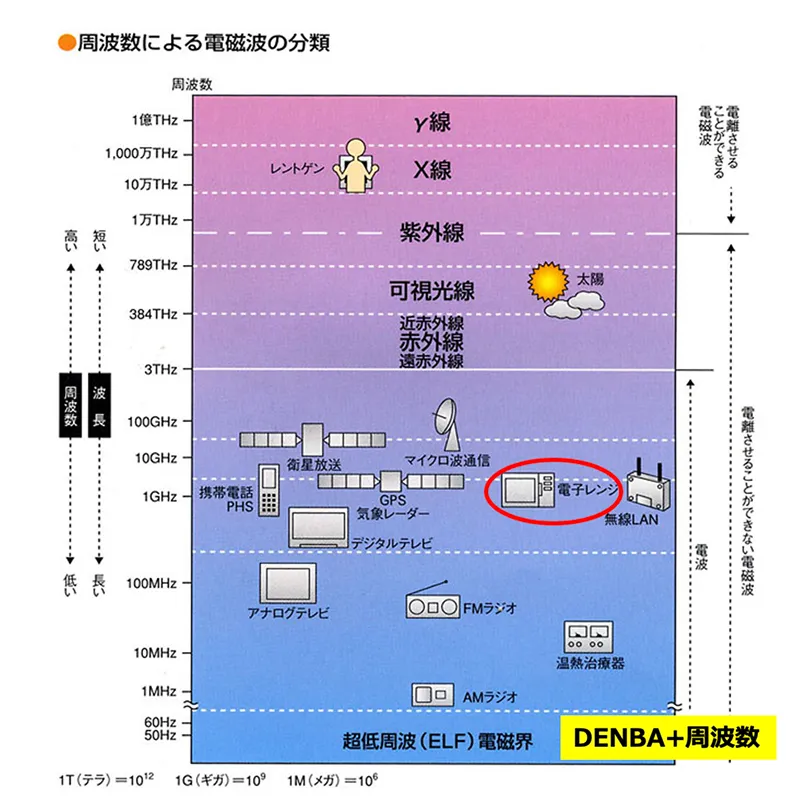 DENBAの安全性