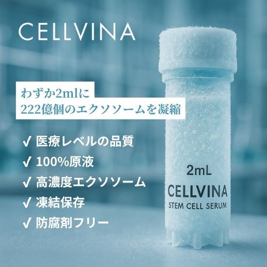 セルヴィーナ