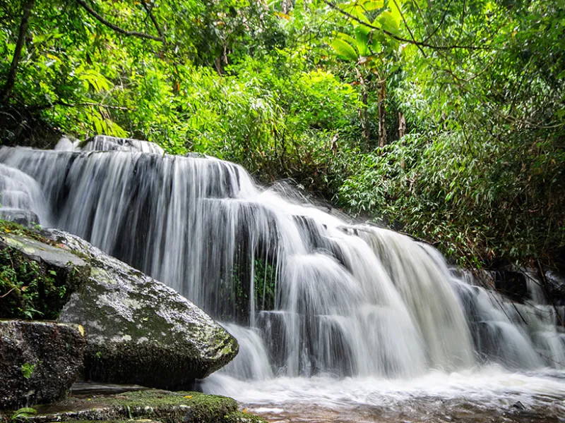 動きがある川の水は綺麗